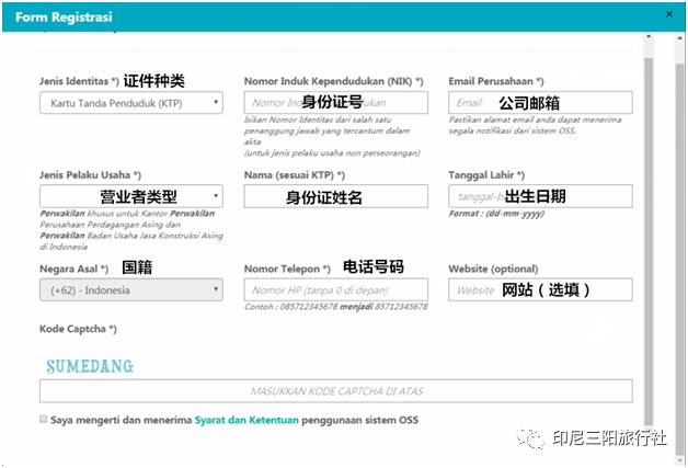 新奥门资料大全正版资料2024年免费下载,新澳门资料大全正版资料2024年免费下载，探索与解析