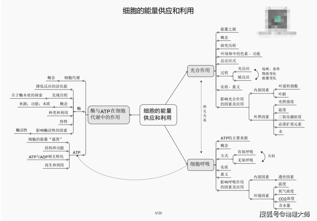 白小姐三肖三期必出一期开奖,白小姐三肖三期必出一期开奖——揭秘彩票神话背后的真相